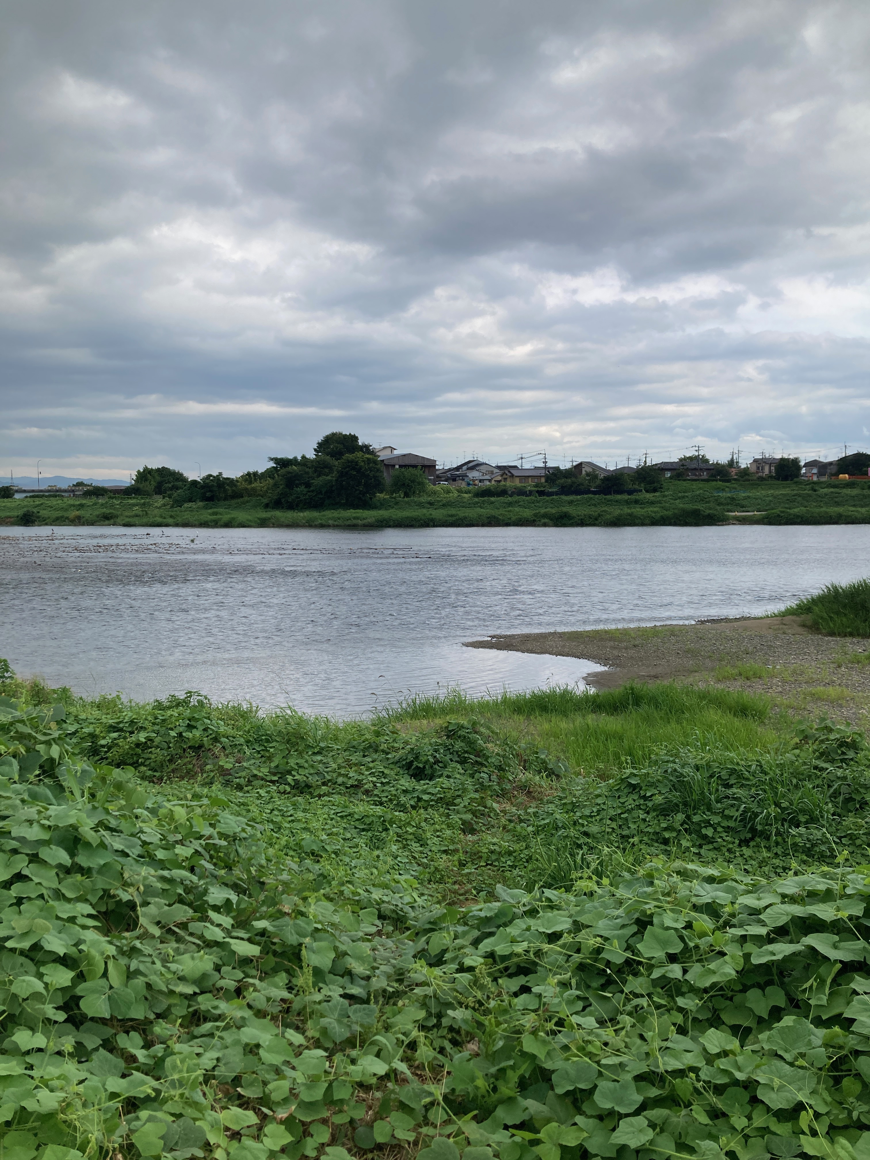 Recognize and heal burnout – nervous system recovery