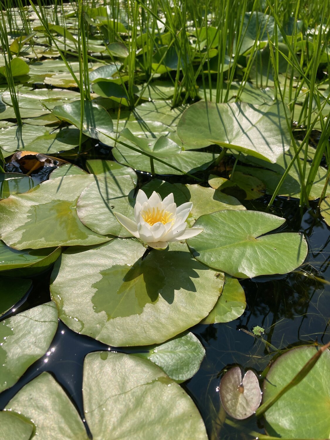 Digital detox guide - healthy relationship with technology