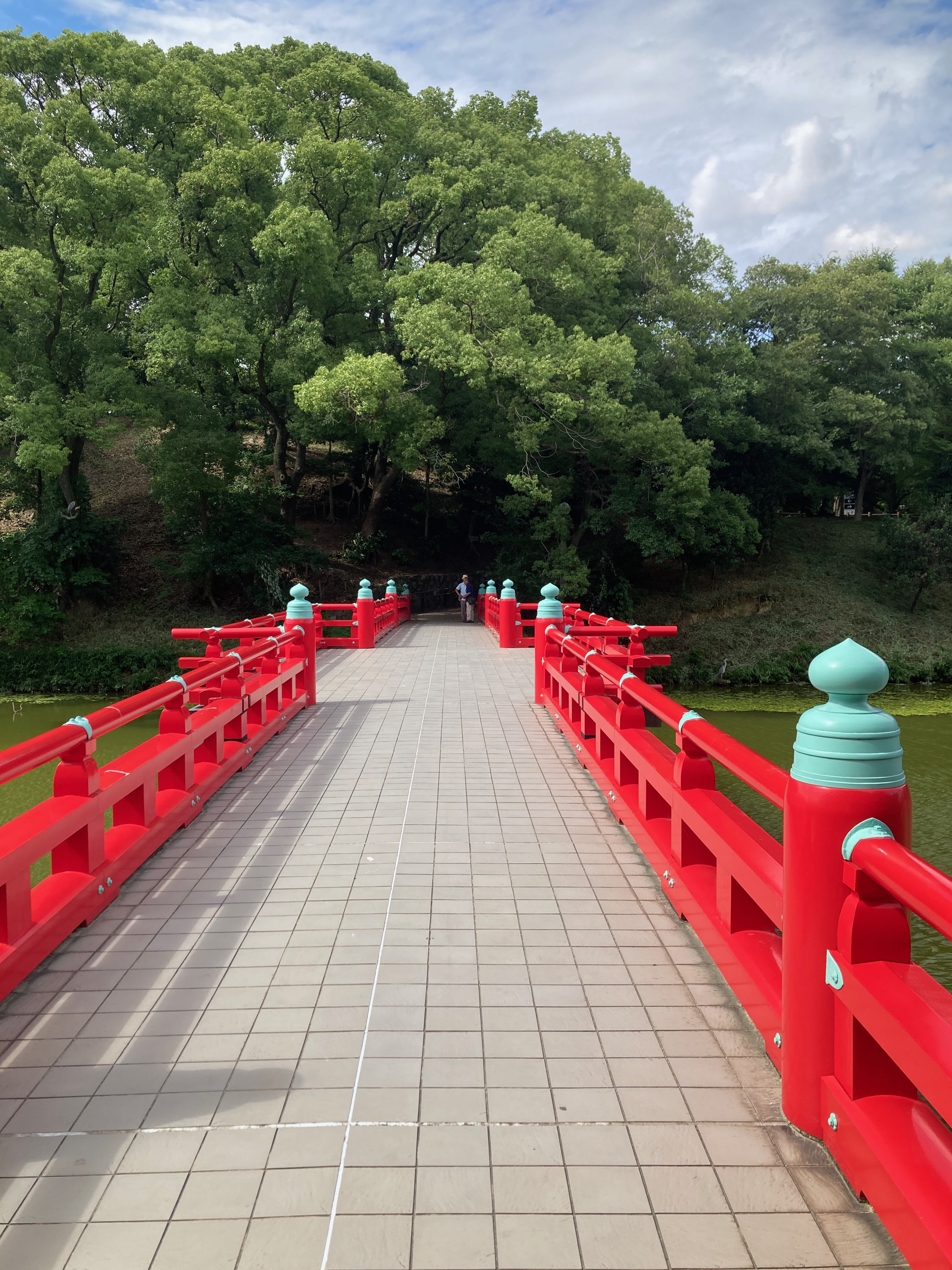 Energetic Hygiene – Protection from Toxic Energies in Everyday Life