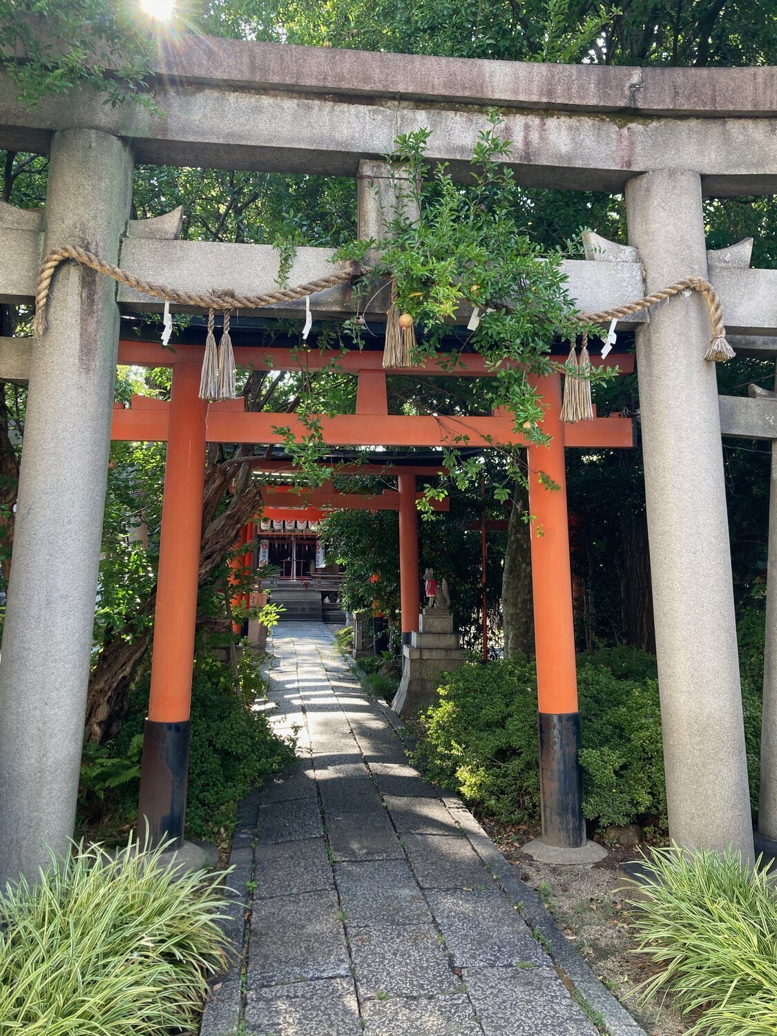 What to Expect During Your First Remote Reiki Session