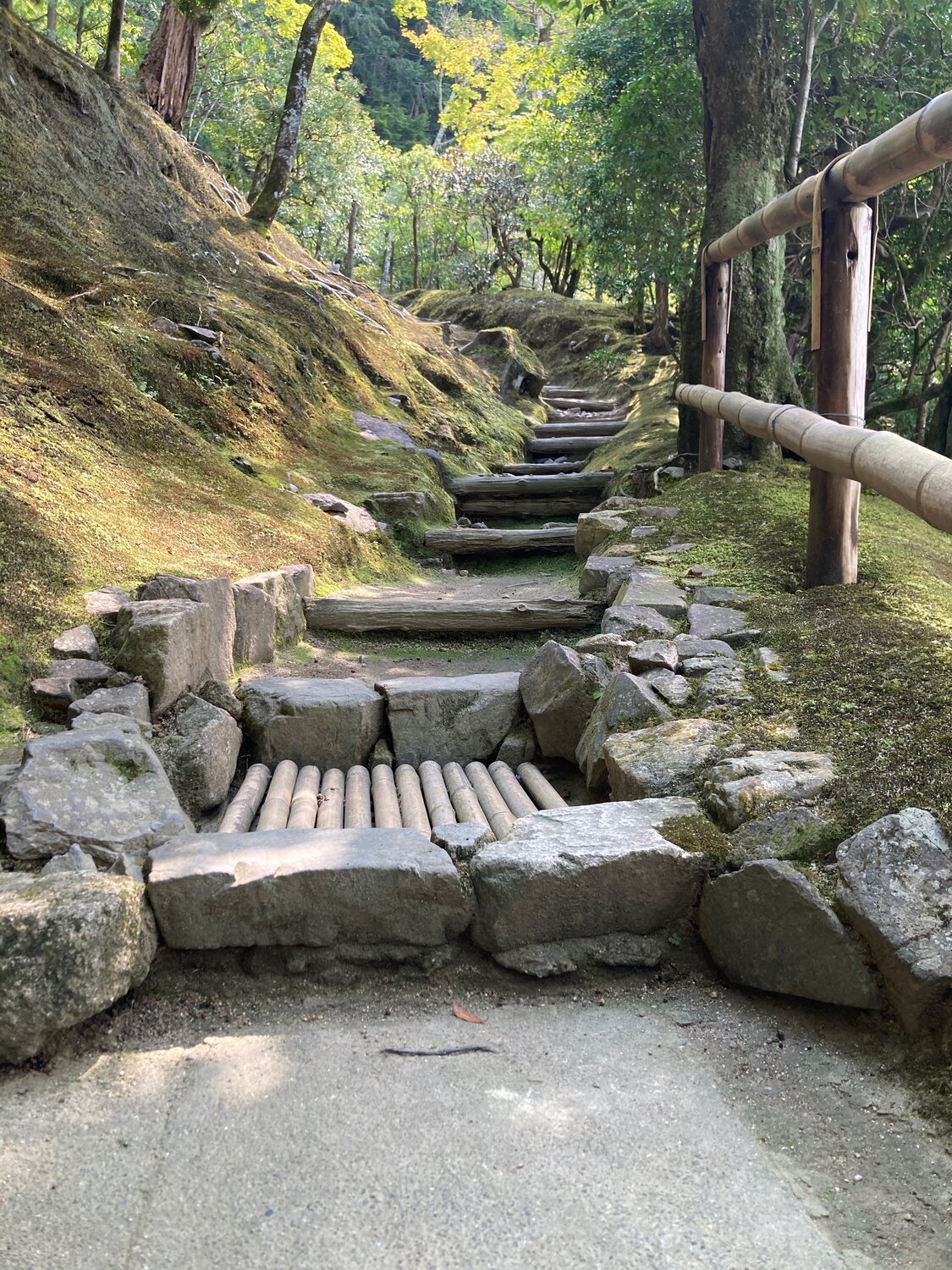 Science of meditation - brain changes through mindfulness Status: Ready to publish