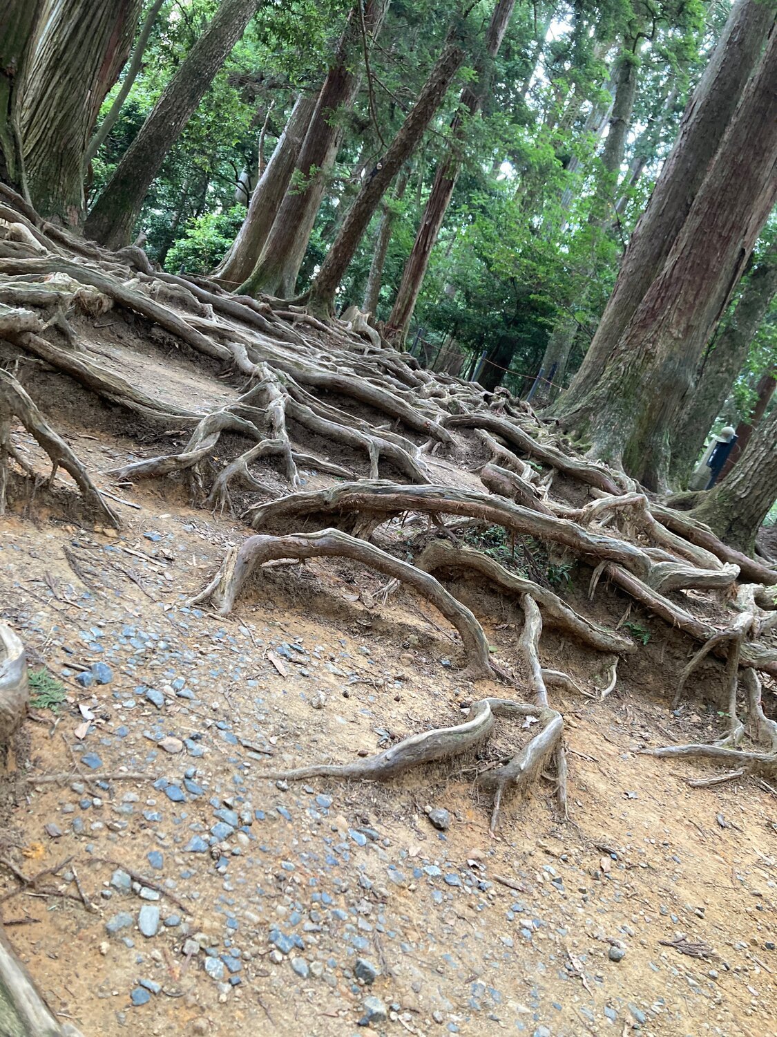 Reiki myths debunked - facts versus fiction