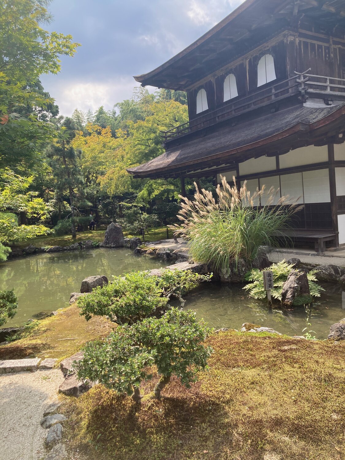 Remote Reiki vs. In-Person Reiki: Which is More Effective?